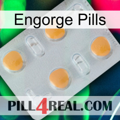 Engorge Pills 24
